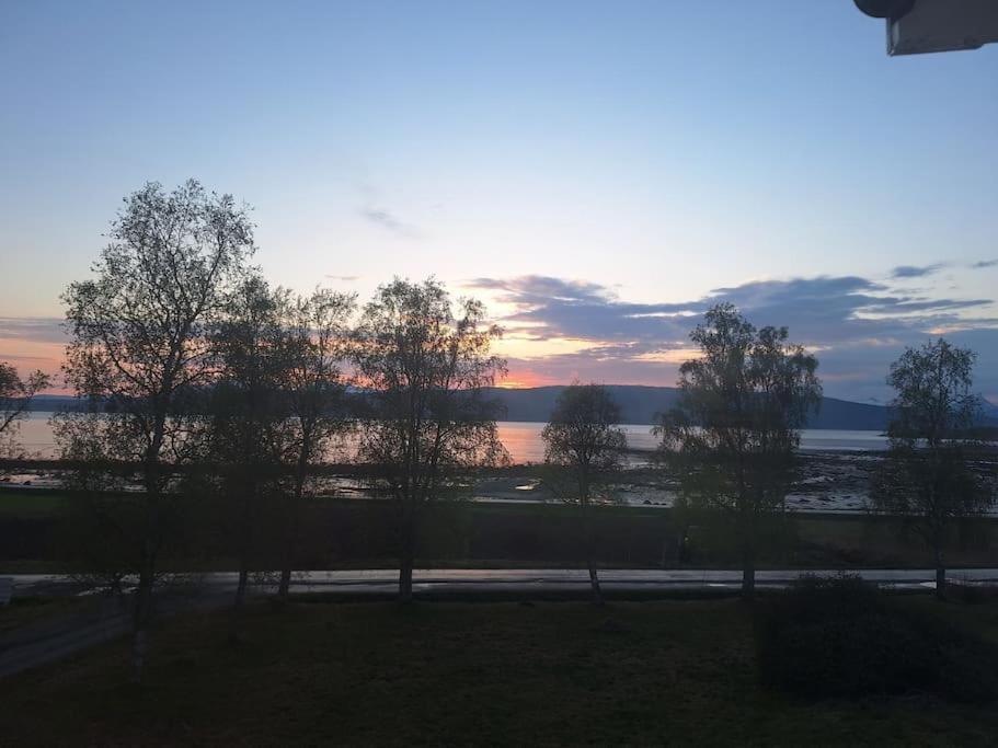 Farm stay Farmloft With Aurora And Sauna Narvik