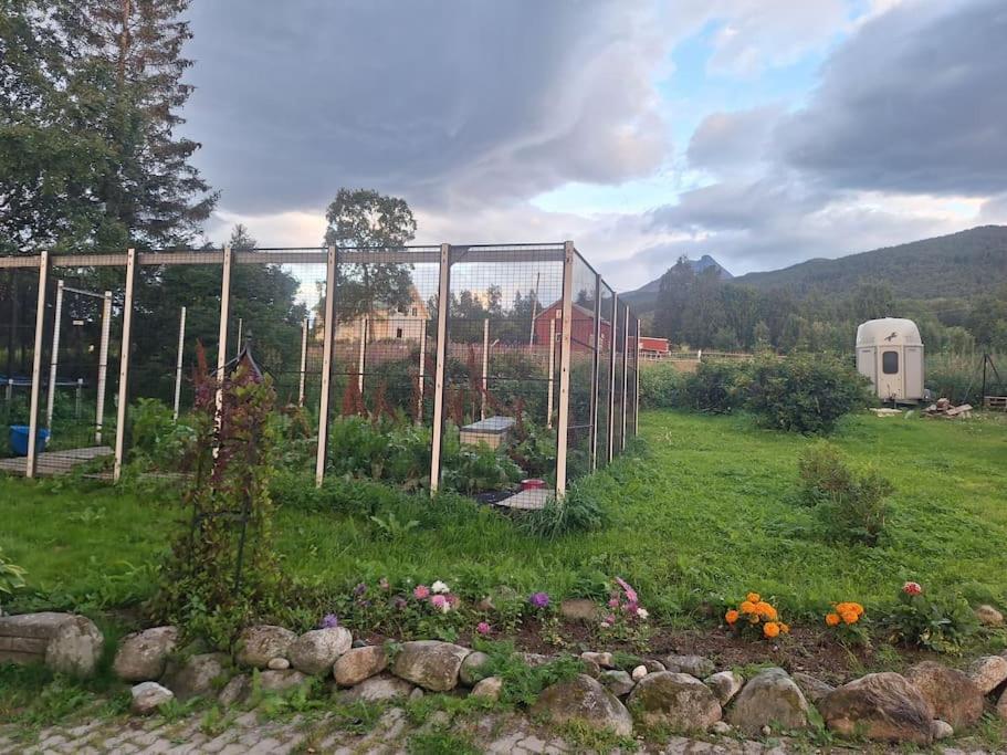 Farm stay Farmloft With Aurora And Sauna *